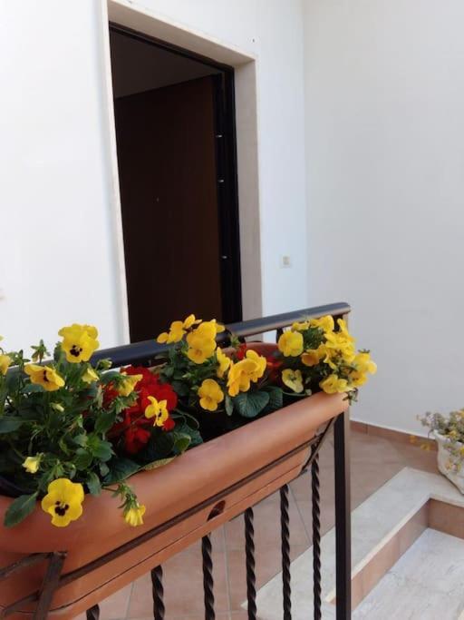 Apartment Casa Di Cristina Fiumicino
