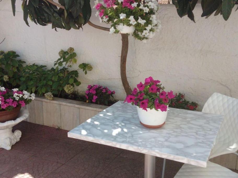 Casa Di Cristina Apartment